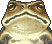 final fantasy ii character guy toad status